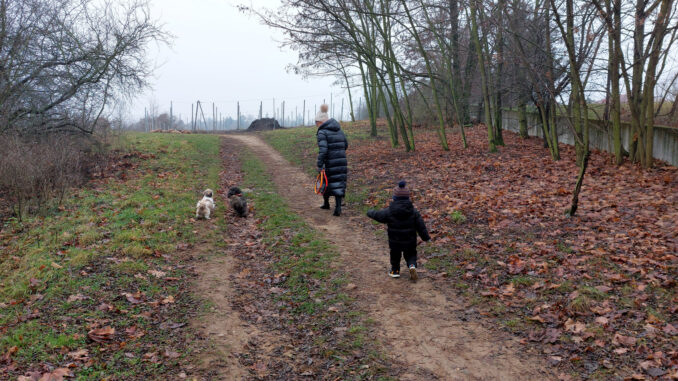 Jeżeli wybierzesz się na spacer nad Jezioro Kierskie, wnet spostrzeżesz, że nie jesteś sam.