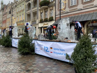 W tym roku zwycięzcami Ice Festival okazali się Filipińczycy, bracia Antonio Baisas i Ross Baisas; stworzyli oni lodowego samuraja.