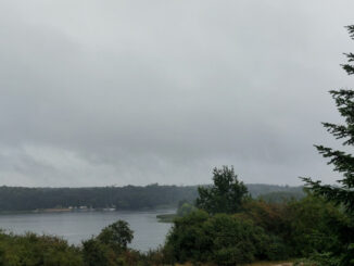 Dzisiaj jesienna aura - szaro, pochmurnie, deszczowo.