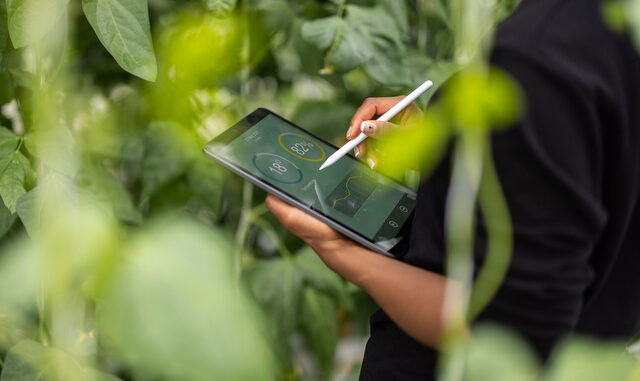 Polacy przywiązują dużą wagę do transformacji klimatycznej w przemyśle.