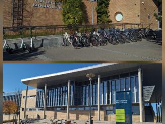 Ciekawym spostrzeżeniem był również fakt, że liczba pozostawionych rowerów przy Wydziale Biologii była dużo większa niż na Wydziale Nauk Społecznych i Dziennikarstwa.