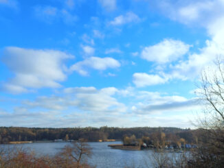 Zimno jest przenikliwe, ale na niebie niebiesko-biało i z blaskiem słońca.