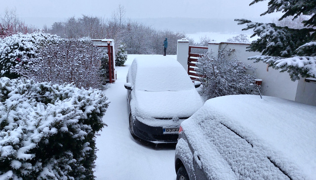 Samochody zasypane śniegiem.