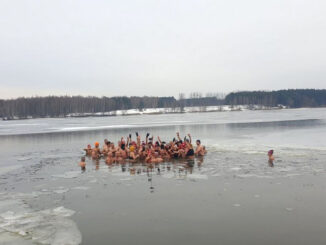Kąpiel morsów w jeziorze Pokrzywnickim.