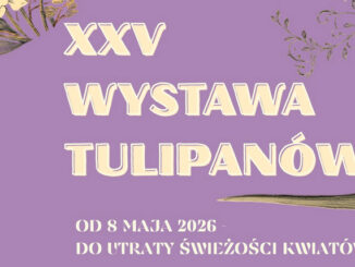 Fragment plakatu zapowiadającego XXV Wystawę Tulipanów w Poznaniu.