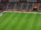 Podczas meczu piłkarskiego Polska-Nigeria na Stadionie Narodowym.