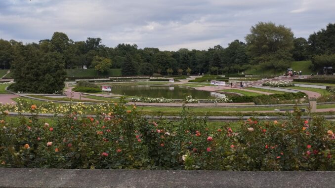 Rosarium w parku na poznańskiej Cytadeli.