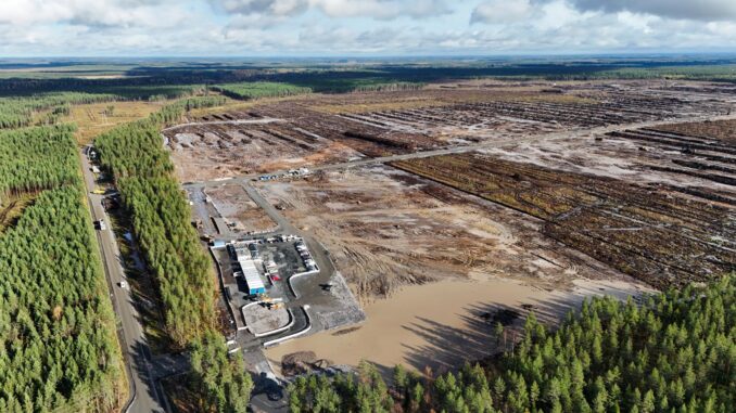 Miejsce wycinki około 250 tysięcy drzew w Muhos (Finlandia).
